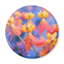 Flores anaranjadas soñadoras imanes