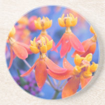 Flores anaranjadas soñadoras posavasos