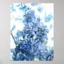Flores azuladas soñadoras posters