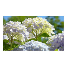 Flores azules de encargo de Hydranges de las tarje
