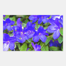 Flores azules de la azalea rectangular pegatinas