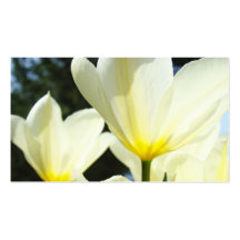 Flores blancas de encargo del tulipán de las tarje
