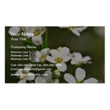 Flores blancas de los flores de Apple Plantillas De Tarjeta De Negocio
