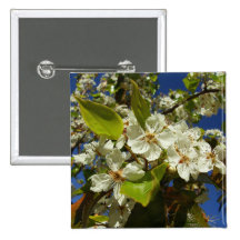 Flores blancas pins