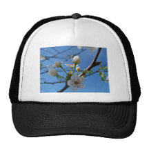 Flores blancos de la primavera en la demostración gorros  