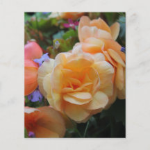 Flores bonitas flyer a todo color