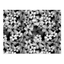 Flores bonitas tarjetas postales