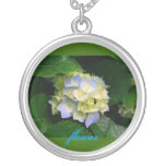 flores colgante