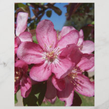 Flores de Cangrejo-Apple del primer Tarjetones