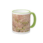 Flores de cerezo en primavera taza