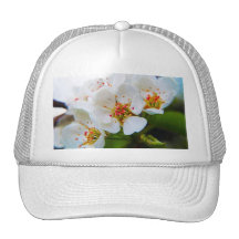 FLORES DE CEREZO GORRO