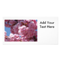 Flores de cerezo rosadas plantilla para tarjeta de foto