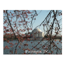 Flores de cerezo: Washington, postal de DC