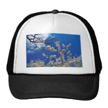 Flores de Chery Gorros Bordados