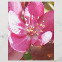 Flores de Crabapple Flyer Personalizado