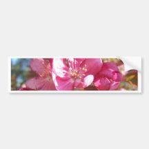 Flores de Crabapple Pegatina De Parachoque