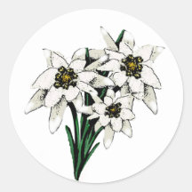 Flores de Edelweiss Pegatina Redonda