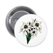 Flores de Edelweiss Pins