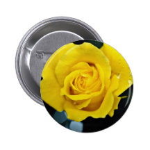 Flores de Floribunda Pin