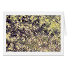 Flores de hadas de la cal de la lavanda, duendecil tarjetas