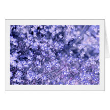 Flores de hadas de la lavanda, duendecillos del ja felicitaciones