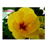 Flores de Hawaii Postal