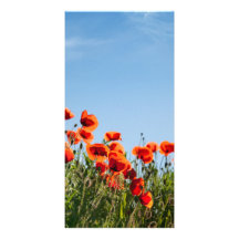 Flores de la amapola tarjeta con foto personalizada