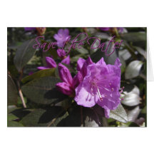 Flores de la azalea de la repetición.  Ahorre la f Felicitación