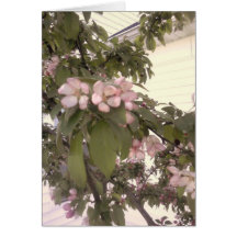 Flores de la caída tarjetón