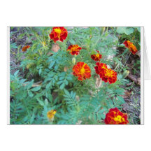 flores de la caída tarjetón