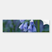 Flores de la consuelda de la lavanda (Symphytum Of Etiqueta De Parachoque