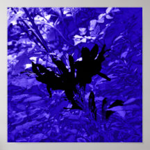 flores de la fantasía posters