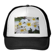 Flores de la floración gorro de camionero