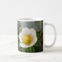 Flores de la fresa en la taza
