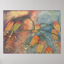 Flores de la madreselva del arco iris poster