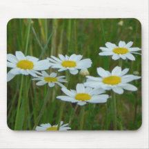 Flores de la manzanilla tapetes de raton
