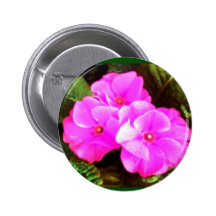 Flores de la primavera pin