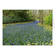 Flores de la primavera - río de jacintos felicitación