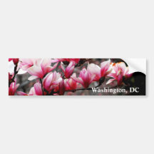 Flores de la universidad de Georgetown, Washington Etiqueta De Parachoque