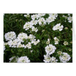 Flores de la vecindad tarjeta