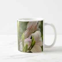 Flores de las plantas tazas