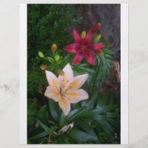Flores de las primaveras tarjeta publicitaria