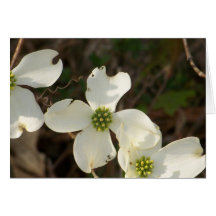 Flores de las tarjetas de nota