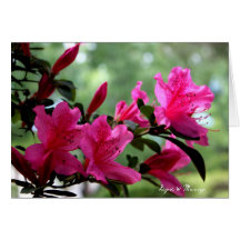 Flores de las tarjetas de nota