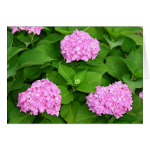 Flores de las tarjetas de nota