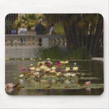 Flores de Lilly Lillies del agua Alfombrillas De Ratones