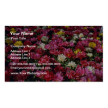 Flores de los tulipanes del doble mezclado plantilla de tarjeta de visita
