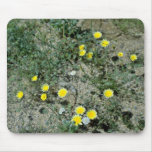 Flores de los Wildflowers del desierto Tapetes De Raton