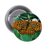 Flores de mariposa pin