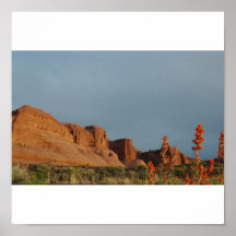 Flores de Moab Impresiones